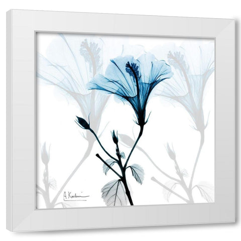 Hibiscus Azure White Modern Wood Framed Art Print by Koetsier, Albert