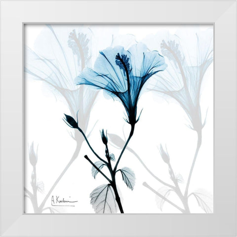 Hibiscus Azure White Modern Wood Framed Art Print by Koetsier, Albert