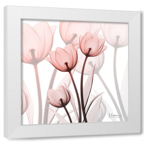 Blush Luster Tulips White Modern Wood Framed Art Print by Koetsier, Albert