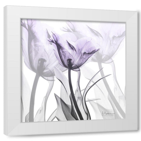 Lilac Luster Tulip White Modern Wood Framed Art Print by Koetsier, Albert