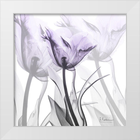 Lilac Luster Tulip White Modern Wood Framed Art Print by Koetsier, Albert