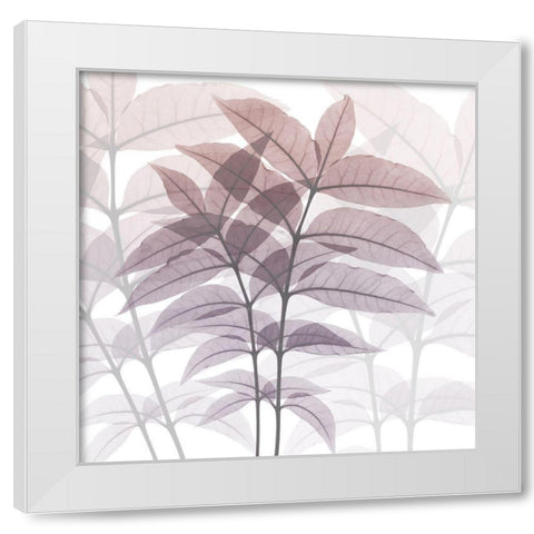 Eternal Bloom White Modern Wood Framed Art Print by Koetsier, Albert