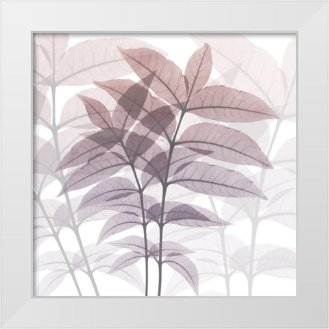 Eternal Bloom White Modern Wood Framed Art Print by Koetsier, Albert