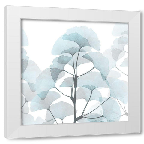 Glassy Ginko White Modern Wood Framed Art Print by Koetsier, Albert