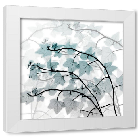 Icy Transformation White Modern Wood Framed Art Print by Koetsier, Albert