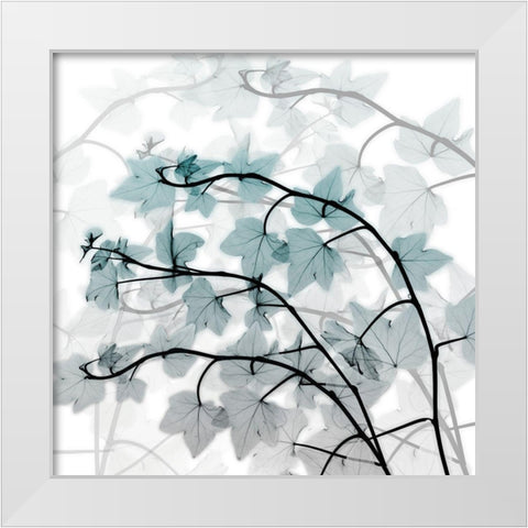 Icy Transformation White Modern Wood Framed Art Print by Koetsier, Albert