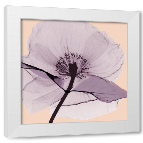 Lavender Love White Modern Wood Framed Art Print by Koetsier, Albert