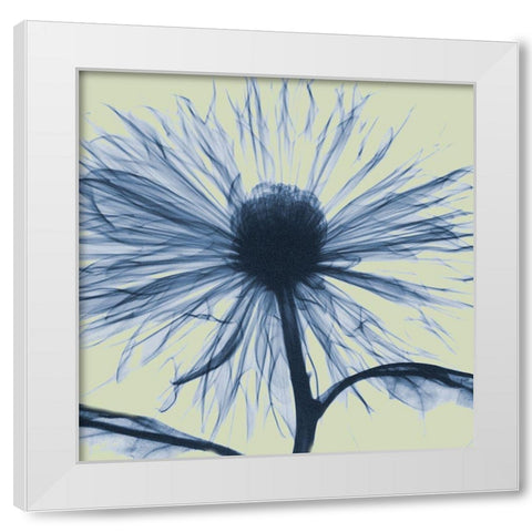 Emerald Chrysanthemum White Modern Wood Framed Art Print by Koetsier, Albert