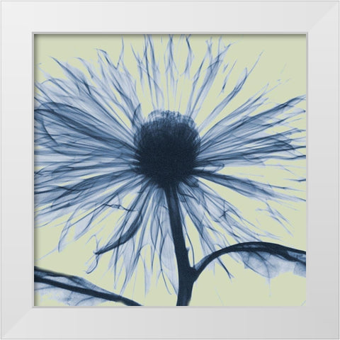 Emerald Chrysanthemum White Modern Wood Framed Art Print by Koetsier, Albert