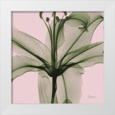 Lovers Lily White Modern Wood Framed Art Print by Koetsier, Albert