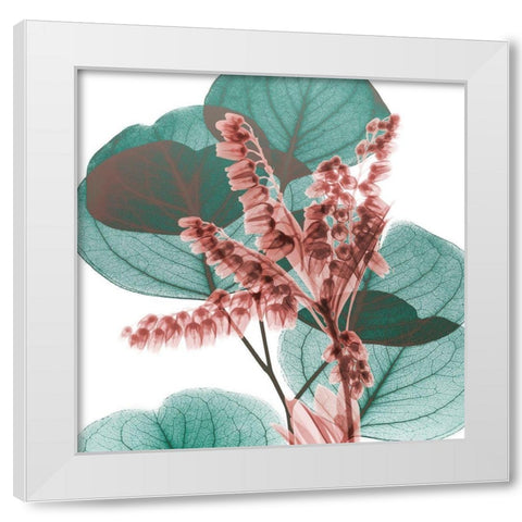 Blushing Lilly Of Eucalyptus 2 White Modern Wood Framed Art Print by Koetsier, Albert