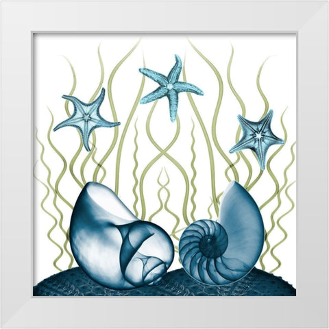 Majestic Sea Floor 2 White Modern Wood Framed Art Print by Koetsier, Albert