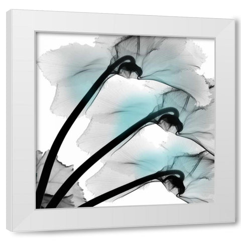 Teal Luster Cyclamen White Modern Wood Framed Art Print by Koetsier, Albert