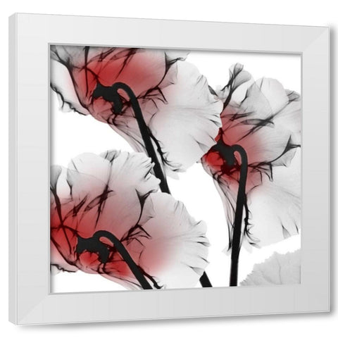 Crimson Luster Cyclamen White Modern Wood Framed Art Print by Koetsier, Albert