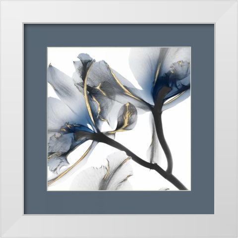 Indigo Luster Cyclamen Border 2 White Modern Wood Framed Art Print by Koetsier, Albert