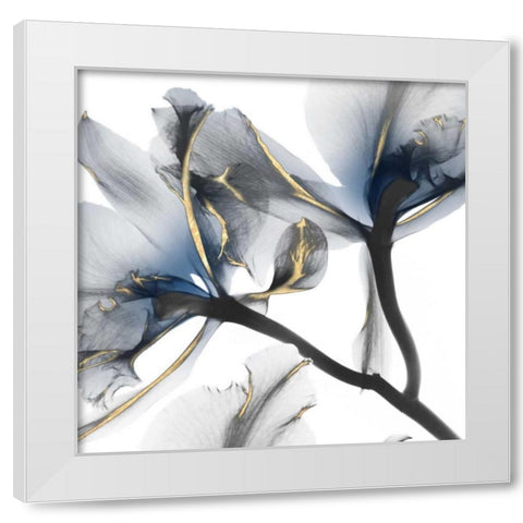 Indigo Luster Cyclamen 2 White Modern Wood Framed Art Print by Koetsier, Albert