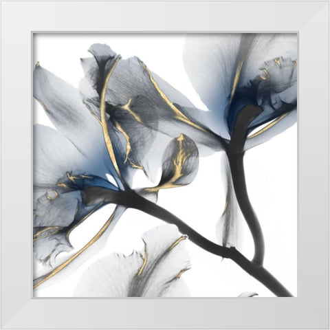 Indigo Luster Cyclamen 2 White Modern Wood Framed Art Print by Koetsier, Albert