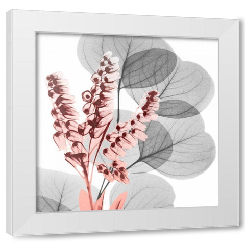 Eucalyptus Blush 2 White Modern Wood Framed Art Print by Koetsier, Albert