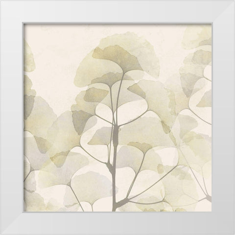 Sunkissed Ginko White Modern Wood Framed Art Print by Koetsier, Albert