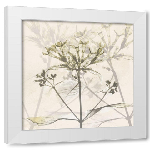 Sunkissed Floral White Modern Wood Framed Art Print by Koetsier, Albert