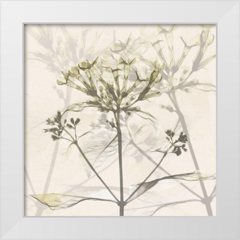 Sunkissed Floral White Modern Wood Framed Art Print by Koetsier, Albert