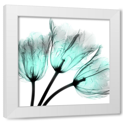 Cool Growth White Modern Wood Framed Art Print by Koetsier, Albert