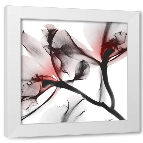 Coral Luster 1 White Modern Wood Framed Art Print by Koetsier, Albert