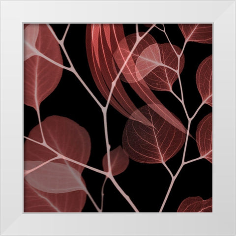 Coral Infused Eucalyptus 1 White Modern Wood Framed Art Print by Koetsier, Albert