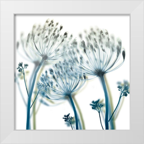 Unfocused Beauty 2 White Modern Wood Framed Art Print by Koetsier, Albert