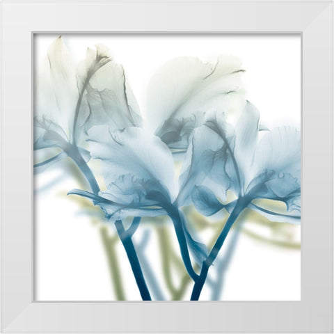 Unfocused Beauty 3 White Modern Wood Framed Art Print by Koetsier, Albert