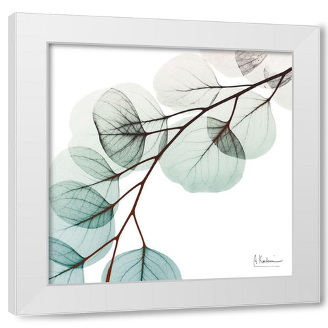 Extravagant Eucalyptus 1 White Modern Wood Framed Art Print by Koetsier, Albert