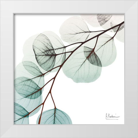 Extravagant Eucalyptus 1 White Modern Wood Framed Art Print by Koetsier, Albert