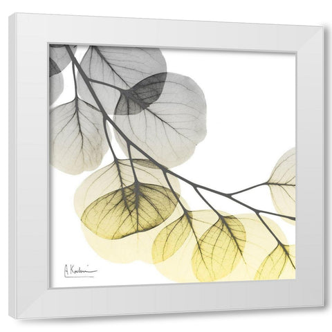 Brilliant Eucalyptus 2 White Modern Wood Framed Art Print by Koetsier, Albert