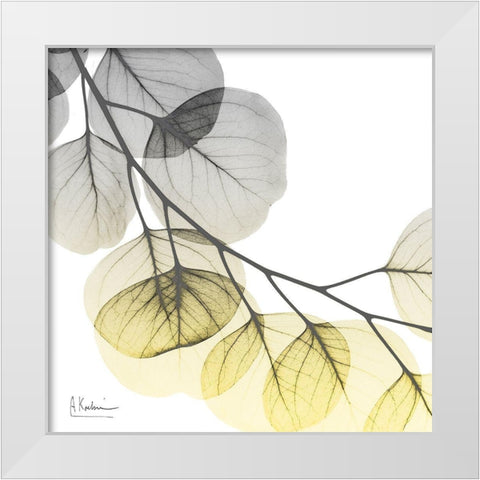 Brilliant Eucalyptus 2 White Modern Wood Framed Art Print by Koetsier, Albert