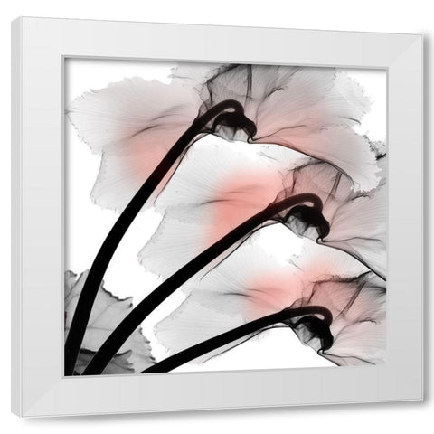 Coral Luster Cyclamen 2 White Modern Wood Framed Art Print by Koetsier, Albert