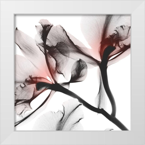 Coral Luster 2 White Modern Wood Framed Art Print by Koetsier, Albert