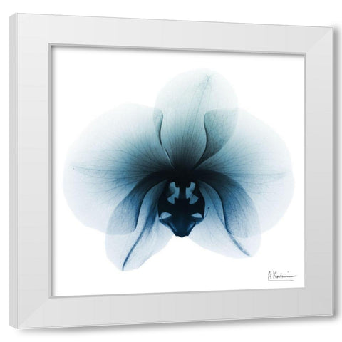 Glacial Orchid 1 White Modern Wood Framed Art Print by Koetsier, Albert