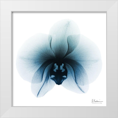 Glacial Orchid 1 White Modern Wood Framed Art Print by Koetsier, Albert