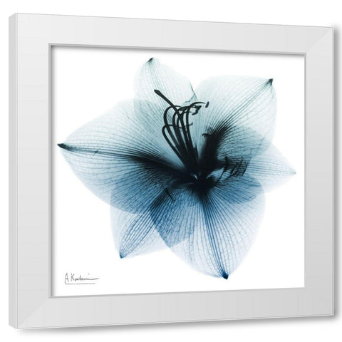 Glacial Amaryllis 1 White Modern Wood Framed Art Print by Koetsier, Albert