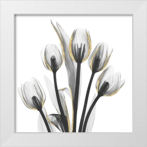 Gold Embellished Tulips 1 White Modern Wood Framed Art Print by Koetsier, Albert