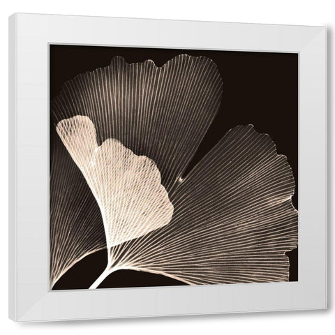Cocoa Ginko White Modern Wood Framed Art Print by Koetsier, Albert