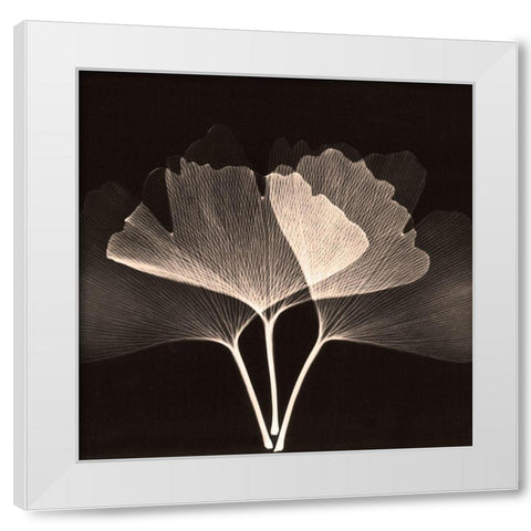 Cocoa Ginko 2 White Modern Wood Framed Art Print by Koetsier, Albert