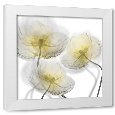 Unfocused Light 1 White Modern Wood Framed Art Print by Koetsier, Albert