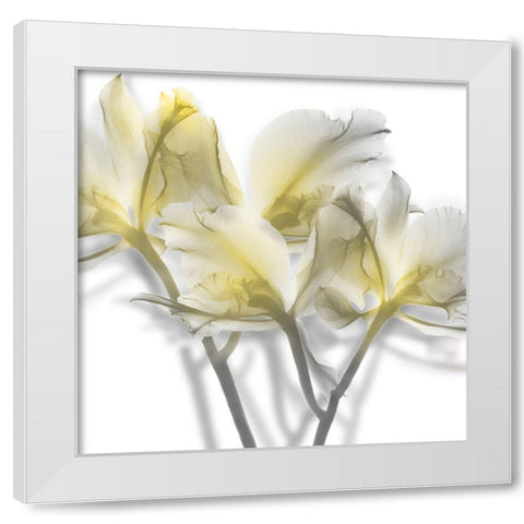 Unfocused Light 2 White Modern Wood Framed Art Print by Koetsier, Albert