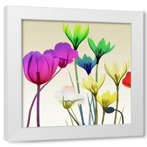 Floral Calm Pop Mate White Modern Wood Framed Art Print by Koetsier, Albert