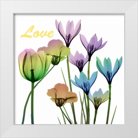 Floral Rainbow Love White Modern Wood Framed Art Print by Koetsier, Albert