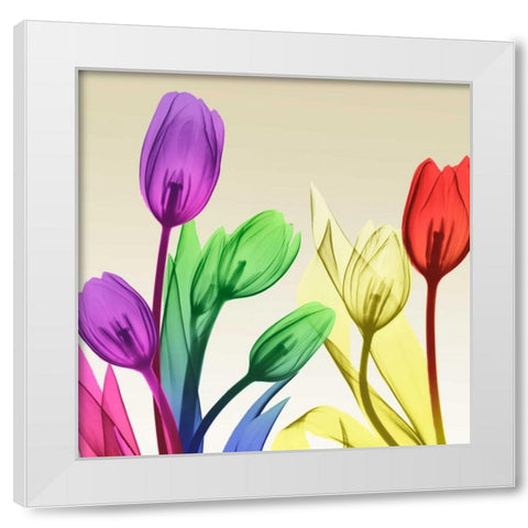 Floral Splurge 2 White Modern Wood Framed Art Print by Koetsier, Albert