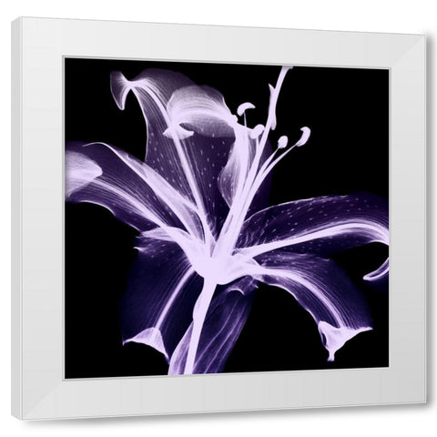 Violet Explosion 2 White Modern Wood Framed Art Print by Koetsier, Albert