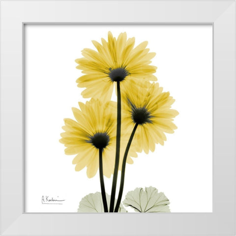 Golden Gerbera 2 White Modern Wood Framed Art Print by Koetsier, Albert