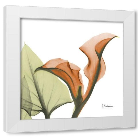 Crimson Calla L235 White Modern Wood Framed Art Print by Koetsier, Albert